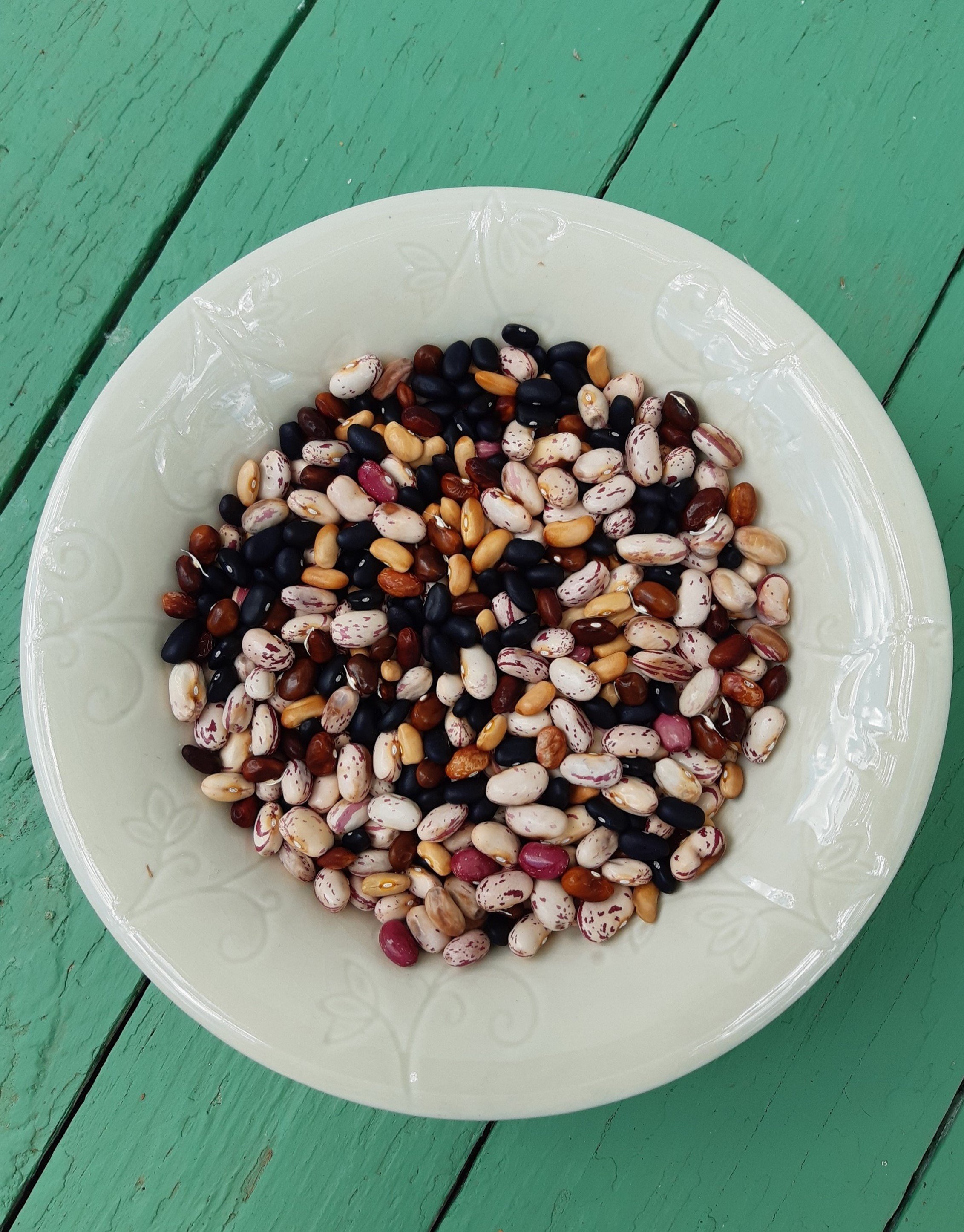 the%20taste%20of%20legumes the%20taste%20of%20legumes