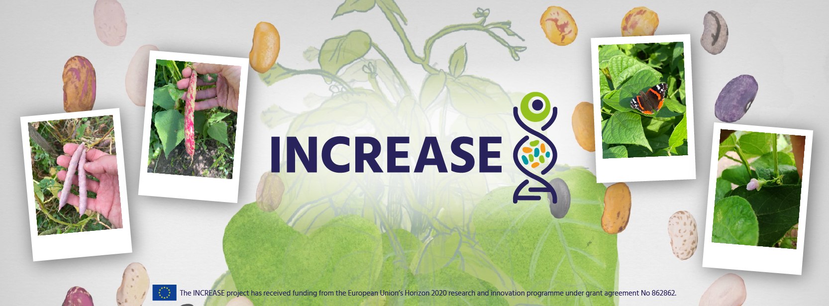 INCREASE_fb-groups INCREASE_fb-groups