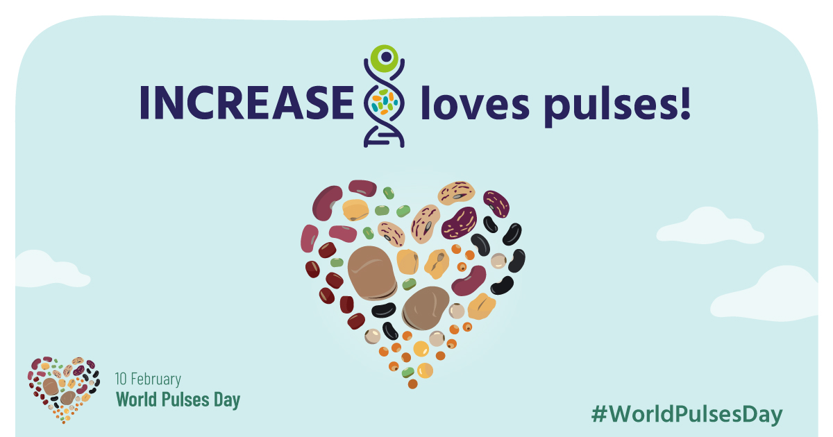 INCREASE-World-Pulses-Day-2024_1200x630 INCREASE-World-Pulses-Day-2024_1200x630
